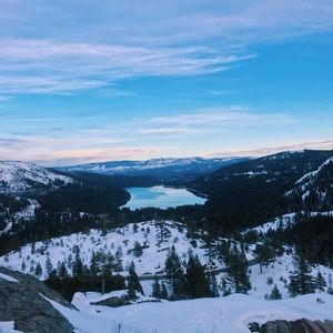 Meet your Posher, Morgan